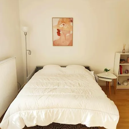 Bright And Fully Renovated Studio In